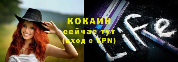 сатива Кукмор