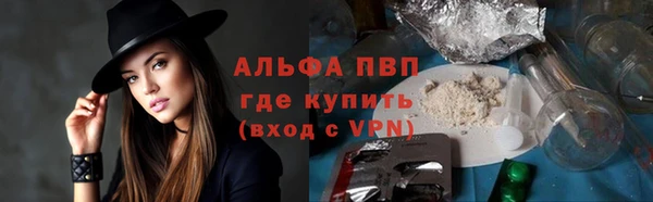 стаф Ростов