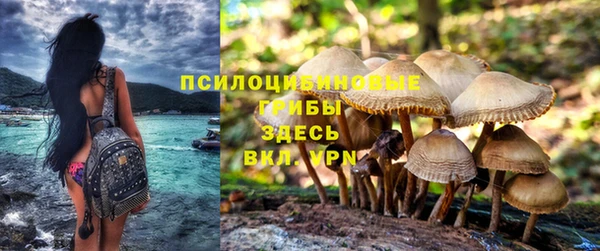 ALPHA PVP Россошь