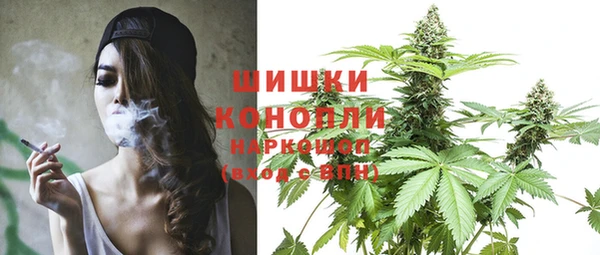 стаф Ростов