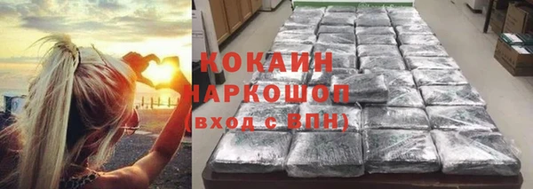 стаф Ростов