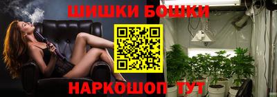 шишки Берёзовский