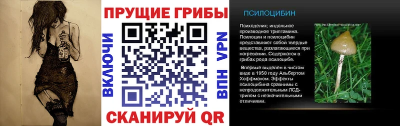 Псилоцибиновые грибы прущие грибы Ростов-на-Дону