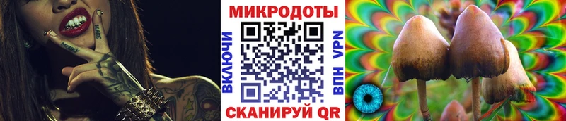 МЕГА ТОР  Ростов-на-Дону  Псилоцибиновые грибы мухоморы 