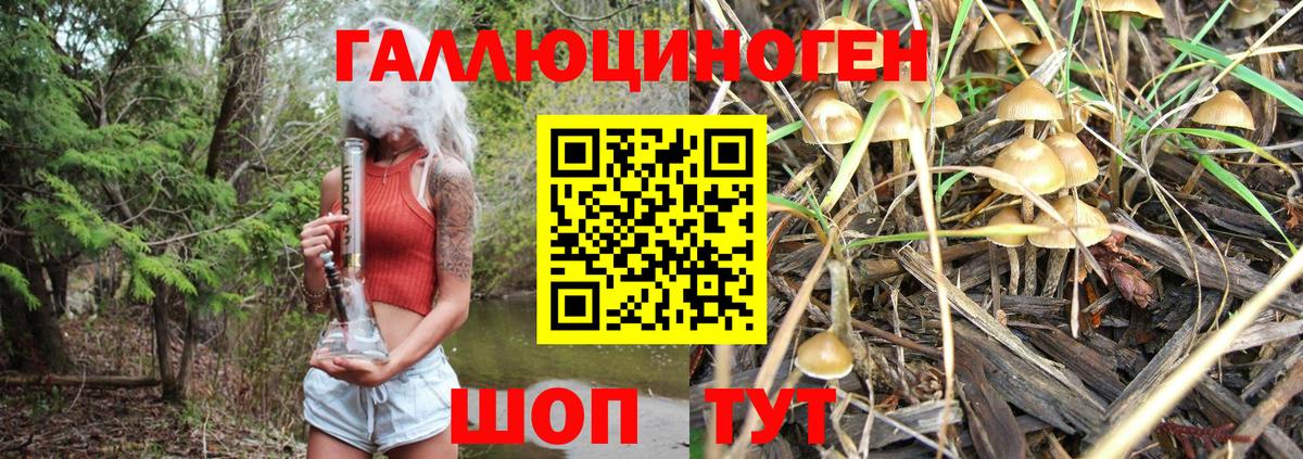 Галлюциногенные грибы GOLDEN TEACHER  Ростов-на-Дону 