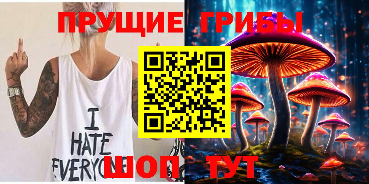 Ростов-на-Дону  Псилоцибиновые грибы Psilocybe  Вход с VPN 